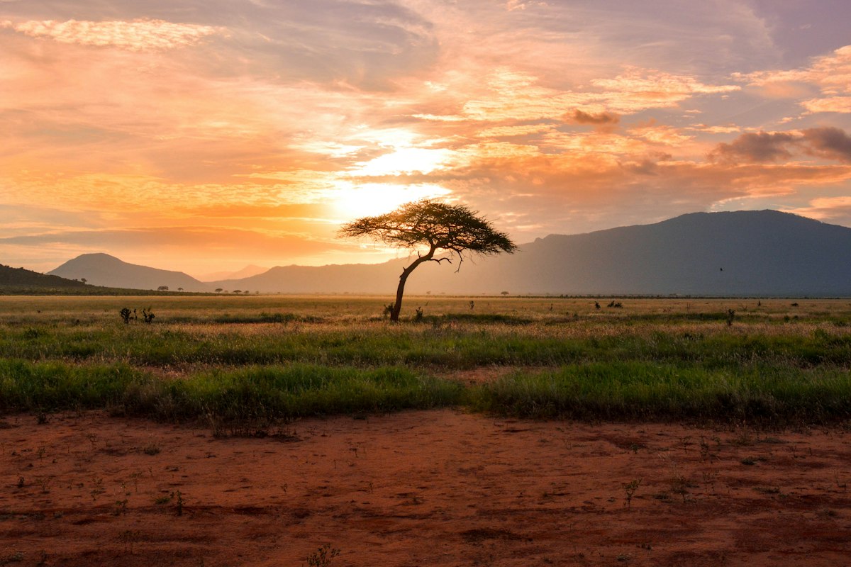 Lion sighting on open vehicle game drive